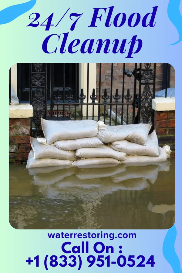 24/7 Flood Cleanup in Bentley, IL